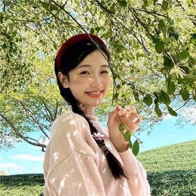 火拳快影