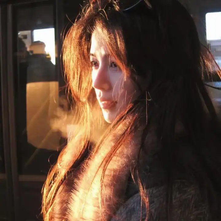 汽车总动员2014